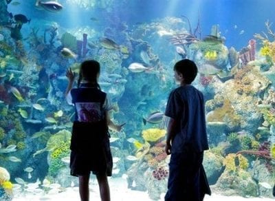 Bristol Aquarium
