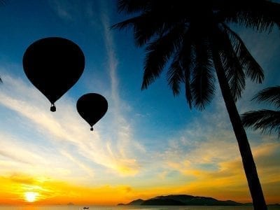 Balloon Palm Tree