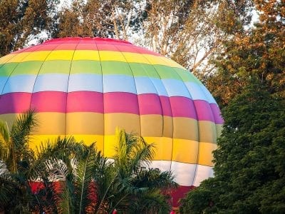 Balloon in Trees
