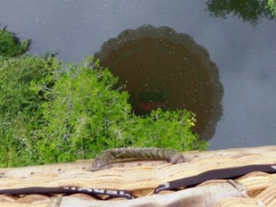 red letter days hot air balloon reflection